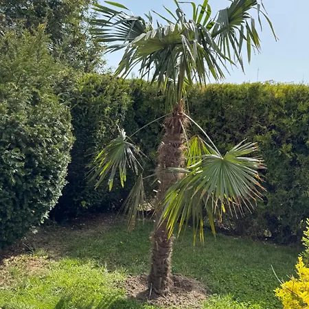 בית הארחה Villa Holiday בלצ'יק