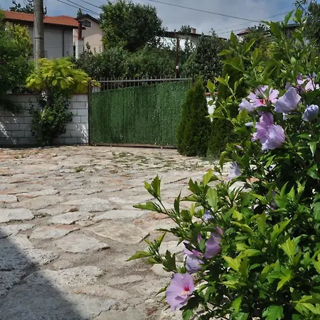 Villa Holiday