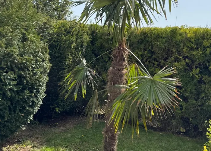 Πανσιόν Villa Holiday Μπαλτσίκ